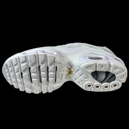 NIKE AIR MAX PLUS BLANCO